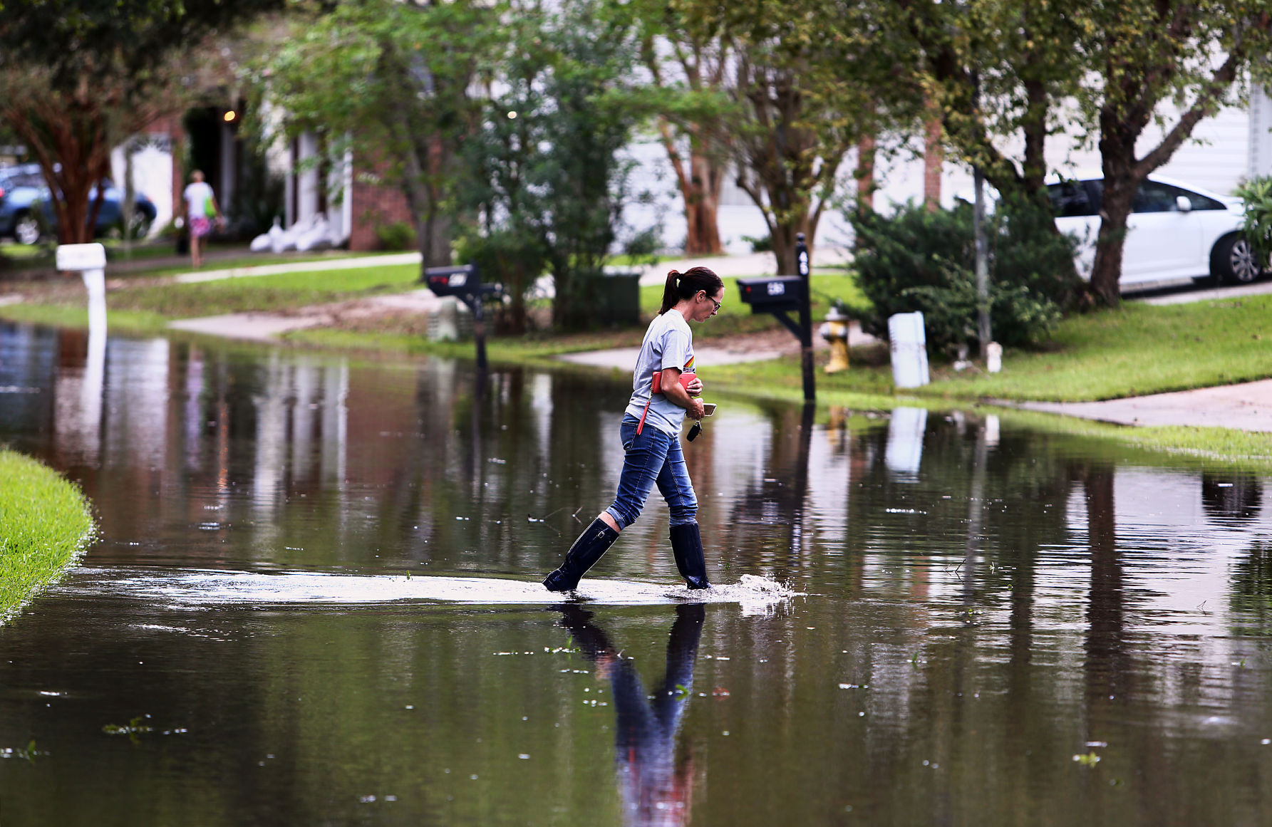 Shadowmoss after irma.jpg (copy)